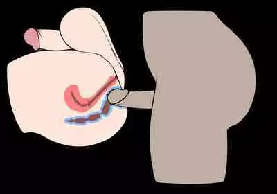 Futanari? What's that?