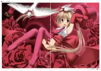 Azuma Yuki - four colors (Complete Ver.)