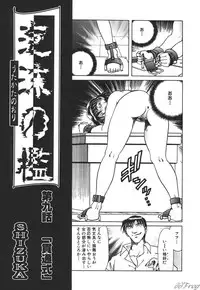 [Anthology] SM Comic Sabaku Vol. 10