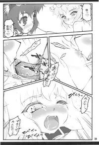 (C75) [CHIRIAKUTA (Yaburebouki Akuta)] Ran ~Touhou Shoujo Saiin~ (Touhou Project)