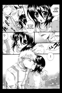 (C70) [PONCHEES (KARI) (Irohane Sui)] Rukia Kuchiki Minimum Maniax File (BLEACH) [English] [EHCOVE]
