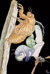 [Kondom] Fairie Fetish