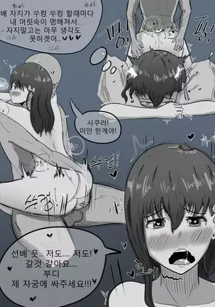 시로 사쿠라 떡