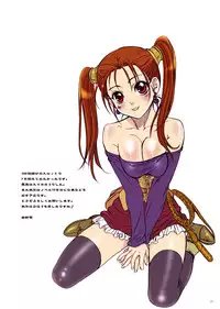 (C75) [STUDIO PAL (Nanno Koto)] Shojo no Ikenie - virgin sacrifice (Dragon Quest V)