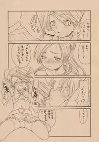 (C66) [Shoryutei (Shoryutei Enraku)] Kuro to Shiro | BLACK AND WHITE (Futari wa Precure)
