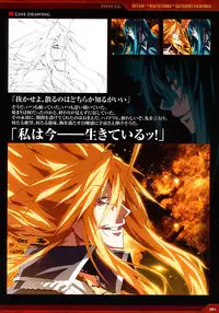 Dies irae Visual Fanbook - Red Book (Resale Version)
