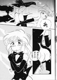 (C49) [DEROLIAN (Shark Yaminabe)] DEROLIAN 5 (Kaitou Saint Tail)