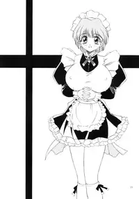 (C67) [Narimasuya] DOLLS DIARY -ReMix-