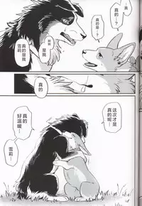 (Kansai! Kemoket 7) [Kaiten ParaDOGs (Diga Tsukune)] Usotsuki Tachi no " " | 讹言者们的“ ” [Chinese] [兔屋汉化组]