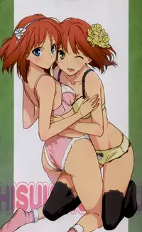 2011 Type-Moon Calendar [Moriisan-Tokono]