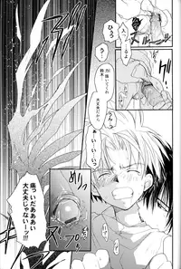 [Maki Murakami] Gamerz Heaven Director's Cut Volumes