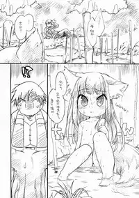 (Puniket 17) [Hinaprin (Ikuta Takanon)] Ookami no Younenki (Spice and Wolf)