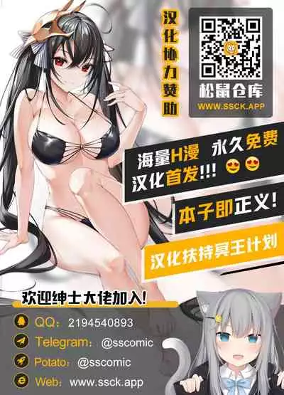 (C97) [Metro Notes (Tsumetoro)] Shinshi Tsuki Maid no Sophie-san 6 [Chinese] [不可视汉化]