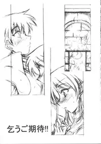 (C67) [Leaz Koubou (Oujano Kaze)] Light and Darlnell (Record of Lodoss War) [English] {GjustG}