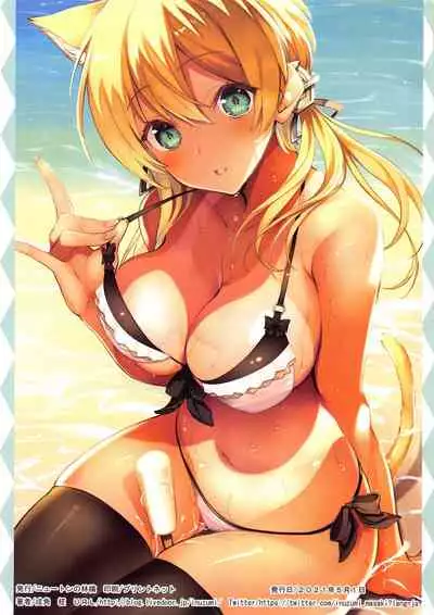 (GW Chou Doujinsai) [Newton no Ringo (Inuzumi Masaki)] N,s A COLORS #13 (Kantai Collection -KanColle-)