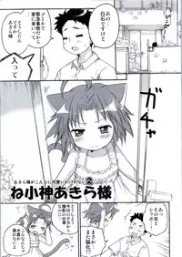 (C78) [Aichiko (ubizo)] Nekogami Akira-sama to Issho. (Lucky Star)