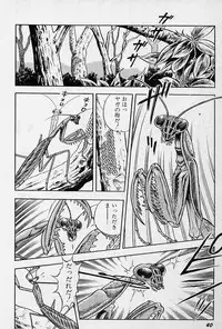 [Kondom] Fairie Fetish