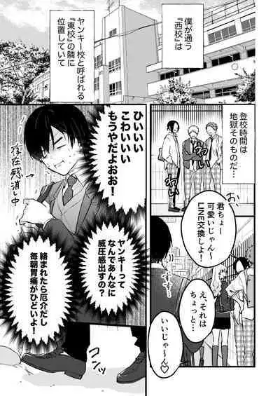 ヤンキーくんのお気に入りなんてお断り!