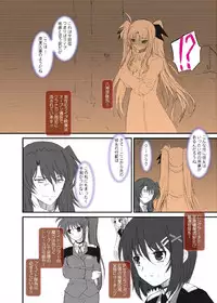 [DIEPPE FACTORY Darkside (Alpine)] FATE FIRE WITH FIRE Book. II (Mahou Shoujo Lyrical Nanoha) [Digital]