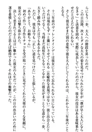 年上メイドの新婚日記