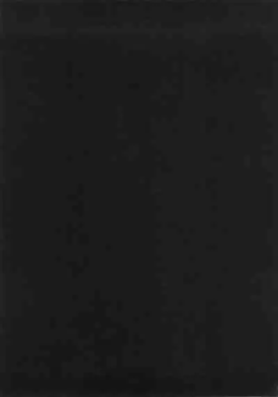 Caster Ayako Kanzenban