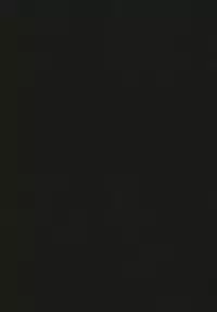 (C93) [Beicon (Beijuu)] Thoroughbred Early Days (Kemono Friends)