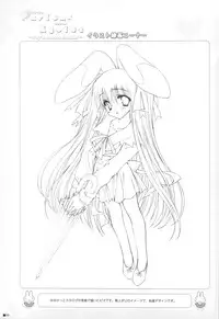 (C75) [ZiP (Kimura Hirotaka, Moekibara Fumitake)] Purism x Egoist - Pop'n Rabbit WORKS -