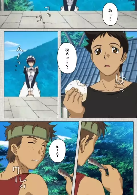 Maid Ane 1-Kame Complete Ban