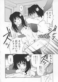 [Yasui Hirosato] Gekkoukan Gikyoku