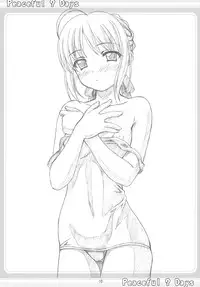 (C67) [Tiny Feather (Sin-Go)] Peaceful ? Days (Fate/stay night)