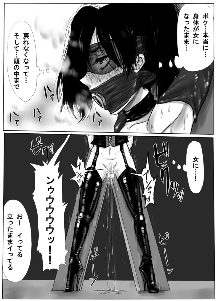 TS Shite Musou Shiyou to Omottara Choukyou Sarete Moto ni Modorenaku Natta Hanashi