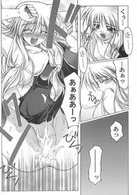 (C67) [Komedokoro (Yonekura Kihiro)] Holy Days (Ragnarok Online)