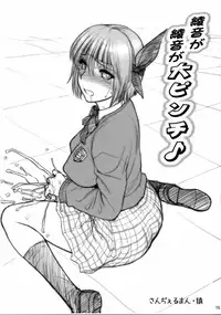 (C78) [Shinnihon Pepsitou (St.germain-sal)] Chorodashi Mandrill R (Various)