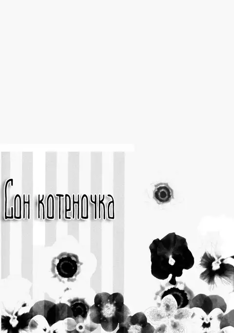 Little Cat Wa Yume no Naka / Сон котёночка