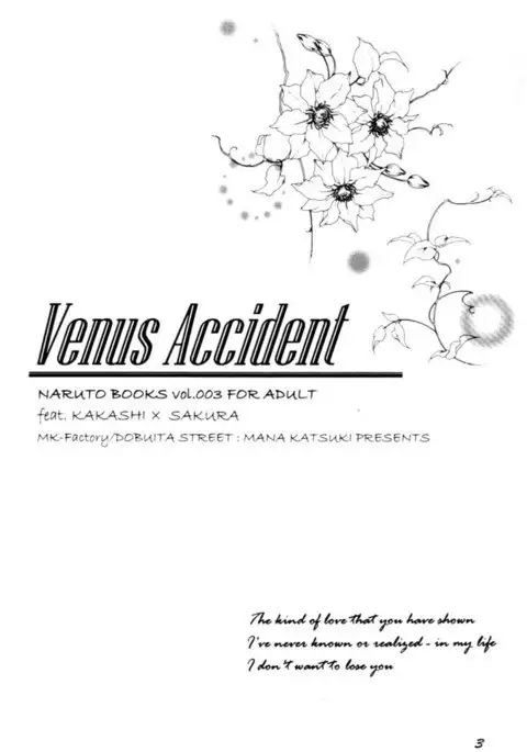 Venus Accident