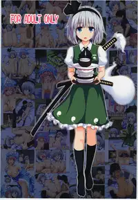 (Niigata Touhousai 12) [Kamikadou (Ginyou Haru)] Gensoukyou Rakuenka Keikaku 08 (Touhou Project)