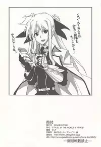 (C87) [STROLL IN THE WOODS !! (ELF)] Fate ni Kiwadoi Shashin o Okuttara Shigoto no Kouritsu ga Agaru no Housoku. (Mahou Shoujo Lyrical Nanoha)