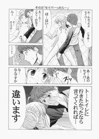 (C72) [Jishou Seijunha (Hiroyuki)] Saber ~Hiroyuki Fate Doujinshi Soushuuhen + α~ (Fate/stay night, Tsukihime)