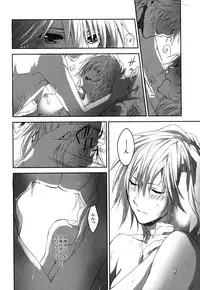 (C84) [CassiS (RIOKO)] Hoshizukiyo (FInal Fantasy XIII-2)