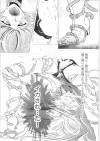 (C91) [BALKLASH. (SAD)] DARK TEMPEST U-03 (Magic Knight Rayearth)