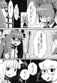 Marushiki Koumakyou Patchouli & Koakuma Vol. 2